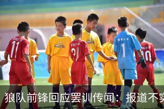 狼队前锋回应罢训传闻：报道不实，我一直很职业