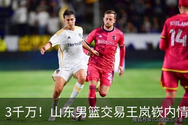 3千万！山东男篮交易王岚嵚内情曝光，乌戈有想法，辽篮索要550万